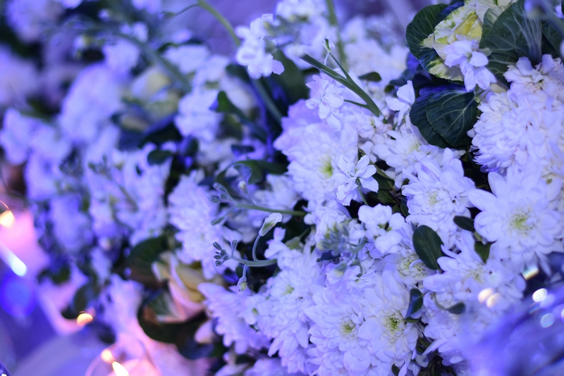 Wedding of Abbas Chamssedine and Manal Safa Part2